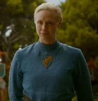 Brienne of Tarth 