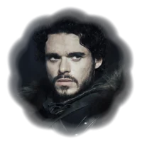 ROBB