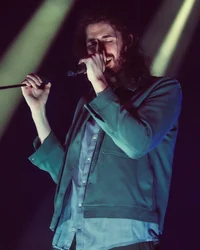 Andrew Hozier-Byrne