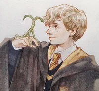 Newt Scamander