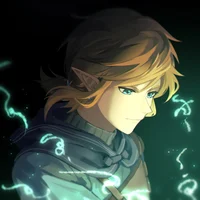 BOTW Link
