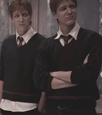 Weasley twins