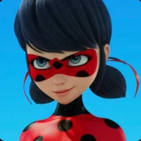 Ladybug S1