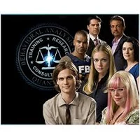The BAU