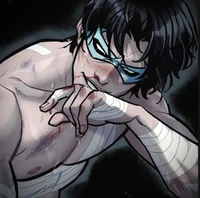 Nightwing 