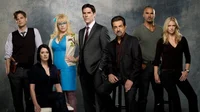 The BAU