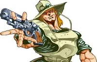 Hol Horse