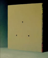 Gradual Glimpses D