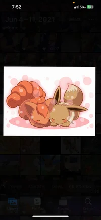 Eevee and vulpix