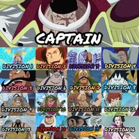 Op Whitebeard pirate