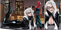 Black cat