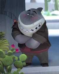 Mr shark