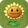 Sunflower pvz 2