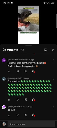 Smartest Zrinka Juko