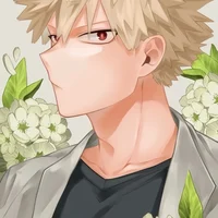 Katsuki Bakugou 