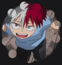 Shoto todoroki 