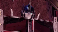 Optimus tfp