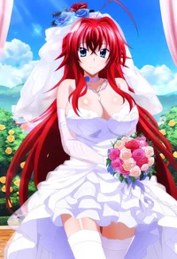 Rias Gremory Novia 0