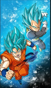 Goku and Vegeta