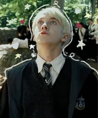 Draco m
