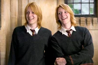 Weasley twins 