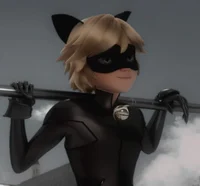 Cat noir 