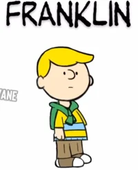 Franklin AceVane