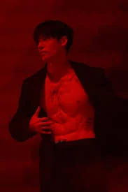 Husband Bang Chan