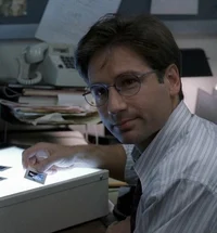 Fox mulder