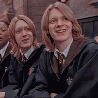The Weasley Twins