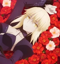 Saber Alter