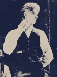 THE THIN WHITE DUKE
