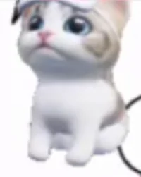 Cute brown White Cat