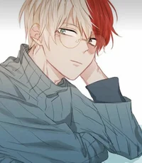 Shoto Todoroki 