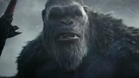 Kong