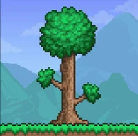 Terraria