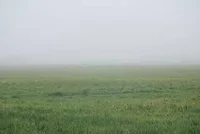 async research lvl10