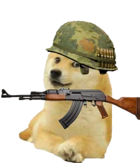 Doge Soldier