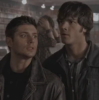 THE WINCHESTERS
