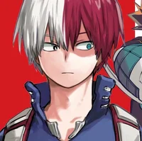 Shoto Todoroki 