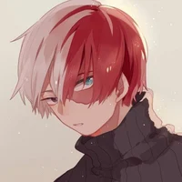 Shoto Todoroki 