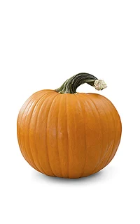 La calabaza 