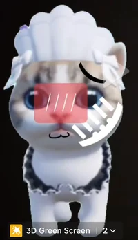 brown White Cat Heat