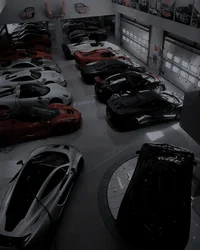 Your rich garage