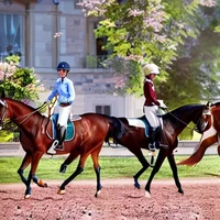 Horse riding school