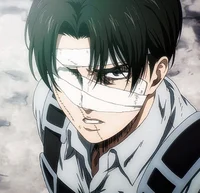 Levi Ackerman 