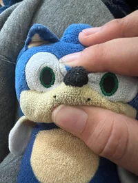Happy pocket sonic