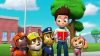 Paw Patrol School
