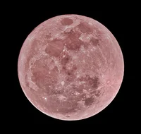 The Pink Moon