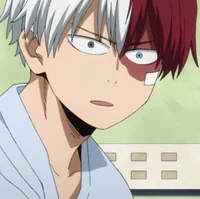 Shoto Todoroki 